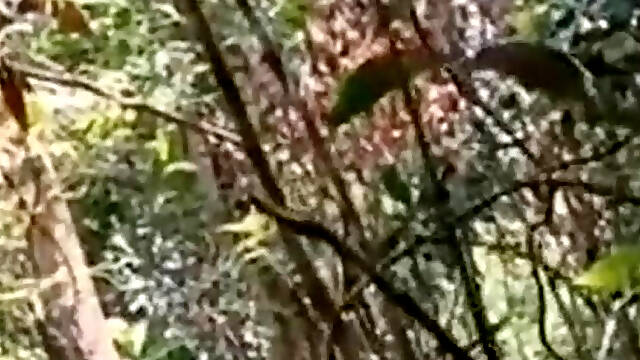 Ne Pali Pp Beautiful?Virgin Nepali College Girl?Fucking With Her Boyfriend In Forest!??