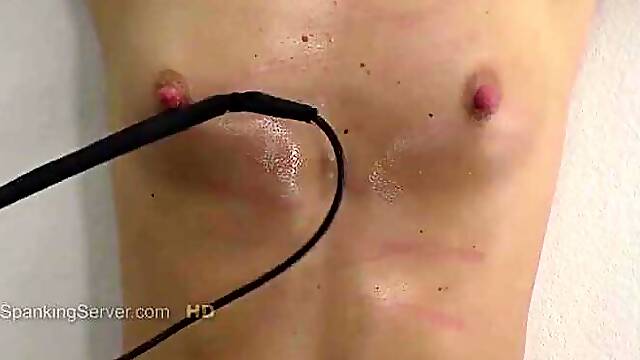 Sasha breast whip - 2410