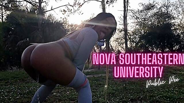 NOVA SOUTHEASTERN UNIVERSITY PUBLIC PEE